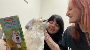 Benji gets a storytime and bellyrub | INN The DogHouse | Facebook