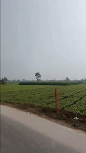 #youtubeshort #shortvideo #viralvideo #gaming #3dgames(2)