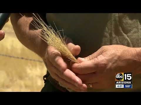 Woodbury Fire forces Roosevelt and Roosevelt Lake area residents to evacuate