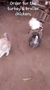 3.1K views | Bro Oj Story on Reels | Facebook