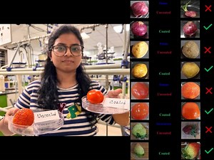 IIT Guwahati Researchers Develop Edible Coating To Extend Shelf Life Of Fruits And Vegetables
