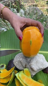 Mangga kopyor #viralvideo