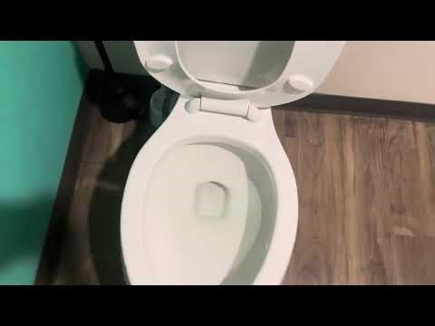 Dentist Restroom Tour