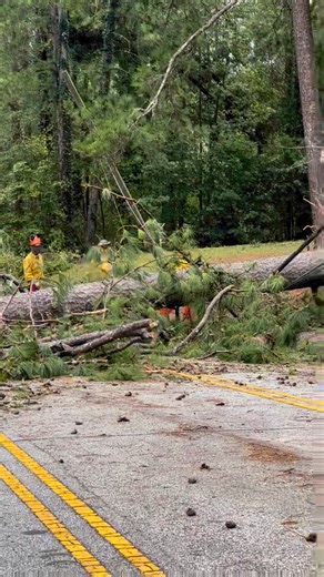 2.3K views | Greenwood County | The South Carolina Forestry Commission | Facebook