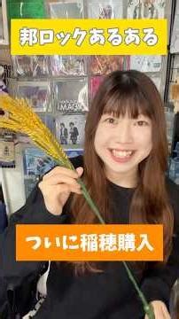 ついに稲穂購入 #邦ロック #レキシ #bumpofchicken #稲穂 #ペンライト #ロックアンセム #打首獄門同好会 #キュウソネコカミ #きらきら武士 #稲穂畑 #日本の米は世界一