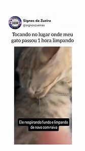 Você não fez isso? fez😂😍 | Nem é Meme