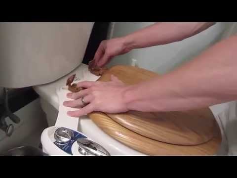 How to Install the Luxe Bidet Neo 180