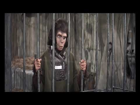 猿の惑星（1968)/Planet of the Apes