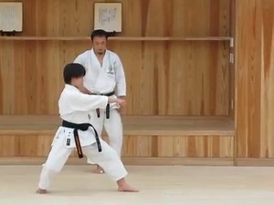 138K views · 1.5K shares | THIS VIDEO IS ABOUT ENPI KATA BY OKAMOTO SENSEI | Hombu-Dojo Portugal | Facebook