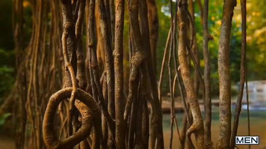 PELÍCULA COMPLETA : ¡LA LEYENDA DE TARZÁN!El Regreso Más Epico del Rey de la Selva (AcciónTotal)#PeliculaCompleta #Tarzan #gay#PeliculasGratis #CineAccion #ReyDeLaSelva #porno #chudai #xxx #NFSW
