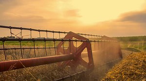 38K views · 171 reactions | Welcoming immigrants with the "will and heart to get here" is at the core of the American spirit. Call your member of Congress today and tell them to support the DREAM Act. To learn more about supporting Dreamers and to access resources and tools, visit emersoncollective.com/dreamers. | Emerson Collective | Facebook