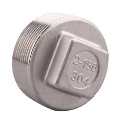 [Hot Item] Stainless Steel Square Head Plug Applied in Plumbing System