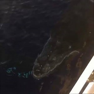 1K views | Trilogy Excursions on Reels | Facebook