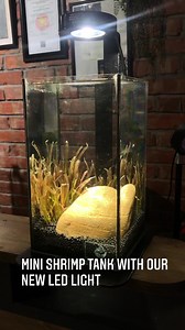 Nature Aquatics on Reels