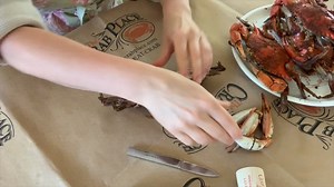 3.3K views · 54 reactions | Learning and teaching how to pick crabs is a fun activity. Where did you learn to pick crabs? | CrabPlace.com | Facebook