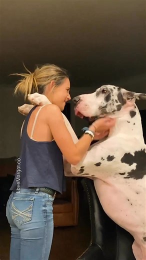 #cutepuppy | LoveMargot