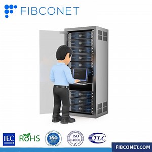 [Hot Item] Wall Mount Server Telecom Cabinet 19" Rack Network Rack for Networking Data