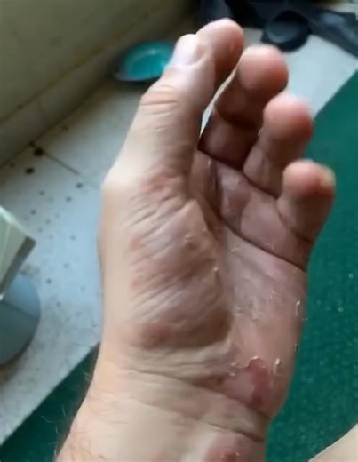 ‼️These are the signs that he is cr…. See more⬇️ | Cuban Fest