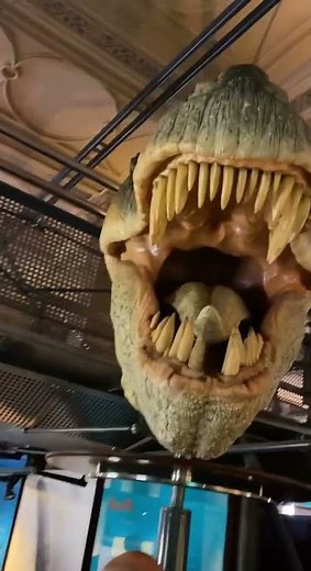 Natural History Museum. London. Dinosaur 🦖