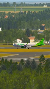 Citilink Airliner Airbus Landing at Brussels Airport | Amy