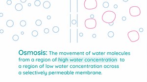 Practical Activity: Demonstrate Osmosis Using Visking Tubing | LC Biology | Studyclix Boost