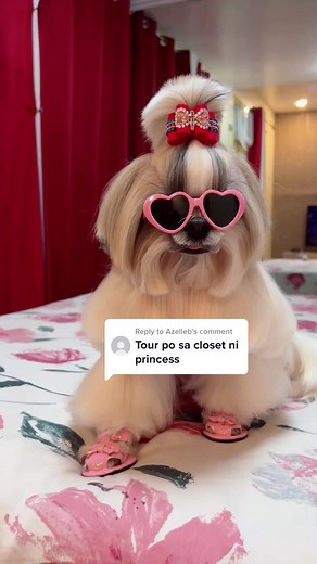 PRINCESS THE KIKAY DOG on TikTok