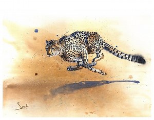 Cheetah Watercolor Wildlife Painting Art Print by Eric Sweet - Etsy Canada