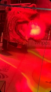 2.3K views · 781 reactions | Björngapet i Luleå. Se SM-finalen på TV4 Play. | HockeyNews.se | Facebook