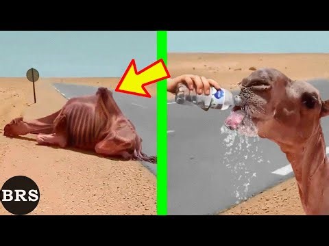 Real Life Superheroes | Random Acts of Kindness That Will Make You Cry #4