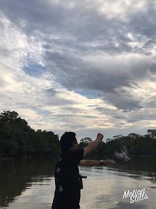 Great moment from my trip to Brazil - Pantanal this year . Feeding the Amazon Kingfisher !!!! Matogrosso Hotel-Photo Bird Tour. www.peruwildbirds.com | Peru wild birds