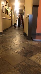 1.2K views · 41 reactions |  BRAVE DIAMOND UPDATE Brave Diamond...