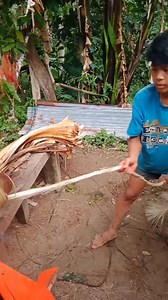 547K views · 1.4K reactions | Process abaca fiber #abaca | Remon Saludo | Facebook