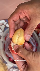 Cobain buah uni woii | Denis Matthew Channel