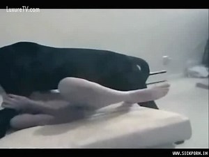 Powerful dog mounts and fucks his hot owner