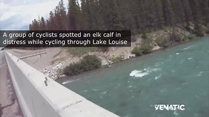 Some cool footage captured by a group of cyclists. Mother Nature can be cruel... | The Venatic