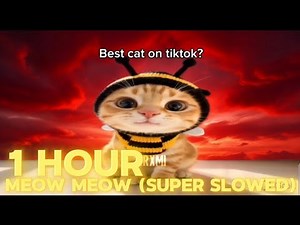 1 HOUR MEOW MEOW (Super slowed+ REVERB) - Heapper