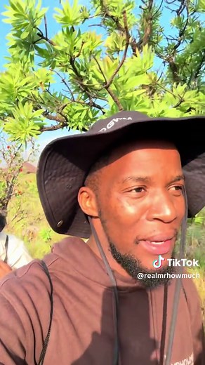 Hiking Adventures on the Drakensberg Mountains