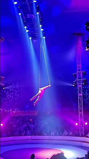 "A Circus You Have to See! Hofmeister 2025 – Bietigheim-Ludwigsburg 🎡