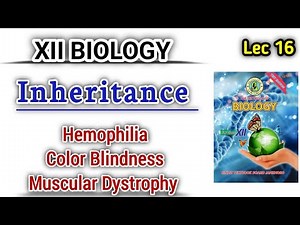 Inheritance of Hemophilia, Colorblindness, and Muscular Dystrophy lec 16 || Class 12