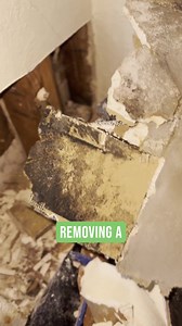  Hidden Dangers Behind Your Walls: Uncovering Mold from a Shower...