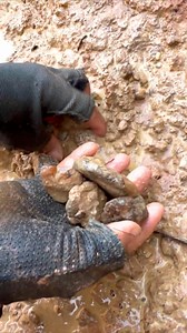 31K views · 372 reactions | Finding Natural Agate And Carnelian Gemstones At The Mountain, Unbelievable Find | Niphon Phopana | Facebook