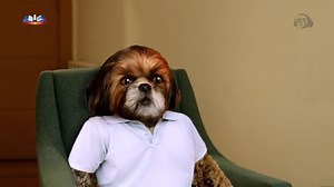 7.5K views · 142 reactions | A 1ª consulta do Aleixo foi assim!...