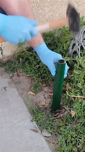 Arche de vacances en PVC