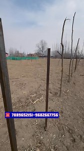 262K views · 2.7K reactions | ☎️ 7889652151 9682667756️ Land for Sale in Mujgund, Dangerpora – Srinagar6 prime plots available | 5 Marla eachPerfect for residential or investment purposes.  | Zaid khan kashmiri | Facebook
