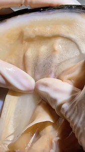 Bar shaped pearl in the clam #pearl #pearls #pearljewelry #jewelry #pearlnecklace #pearljewelry #diyjewelry #diy | Margaret Jewelry