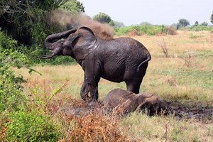 5.7K views · 117 reactions | What better way to start your day than...