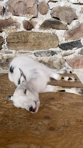 29 reactions · 3 comments | Sweet Dolly Parton was having a hard time...