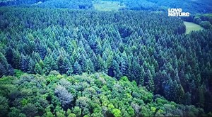 Polska wersja Love Nature w jakości HD na satelicie