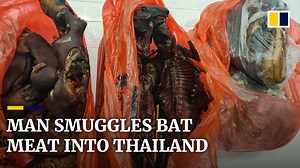 Special delivery? | SCMP Video