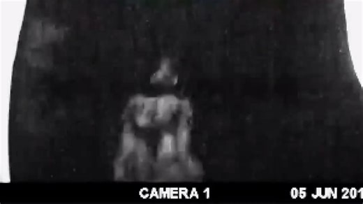 Trail Camera Captures Sasquatch Walking Through Campground #sasquatch #wildman #bigfoot #creature #skunkape | Rocky Mountain Sasquatch Organization